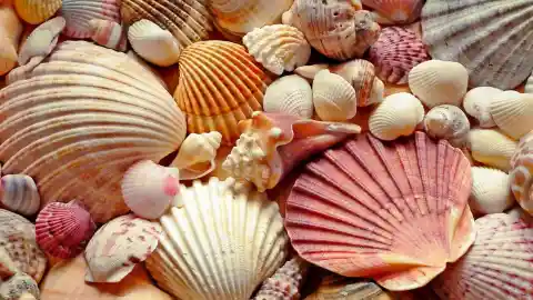 Shades Of Pink And Gold