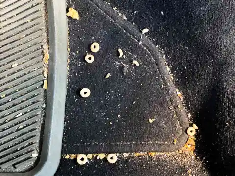 Avoid Crumbs and Keep Your Car Cleaner