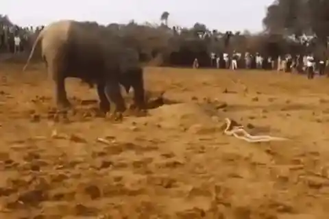 置き去りにされた