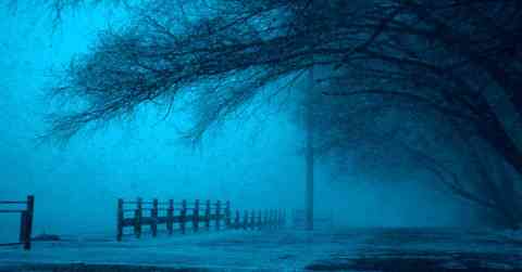 Mystery in the Whispering Woods