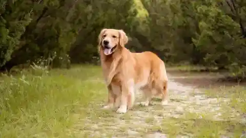 Over The Following Months 