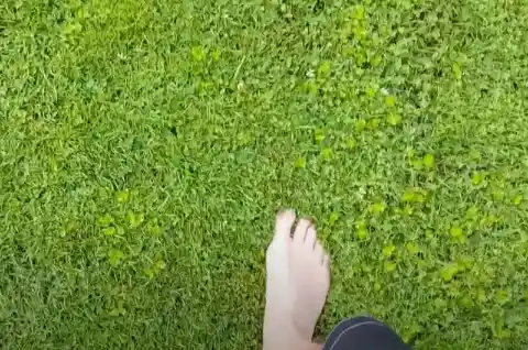 It Moved