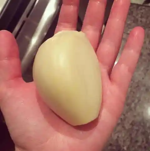 A Perfect Amount Of Garlic