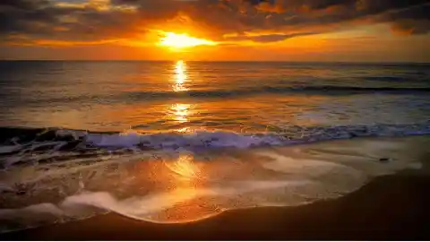 The Warmth Of The Day