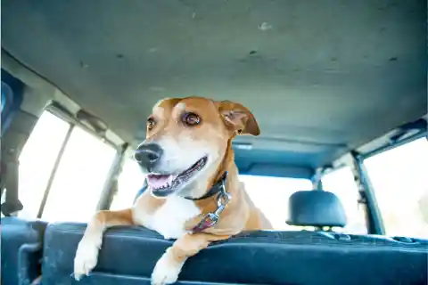 In The Car