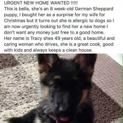 She Needs A Home