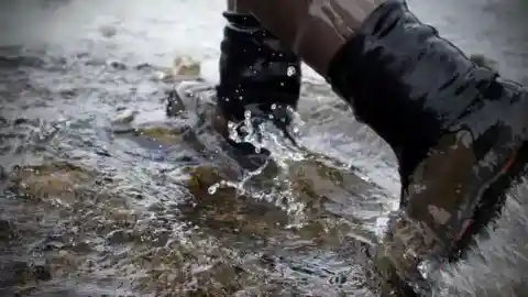 Walking Along The Shore