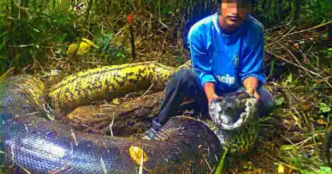 何が中にあったのか？