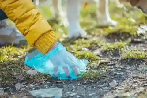 새로운 삶
