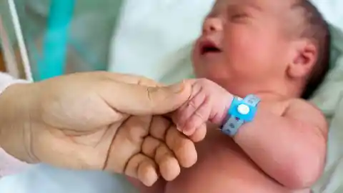 Newborn 