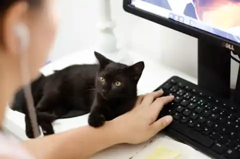 Submitting The Paperwork