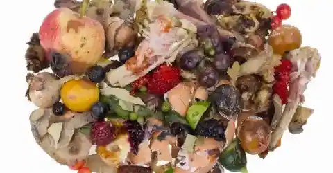 The Shocking Discovery