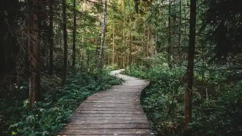 A Special Trail