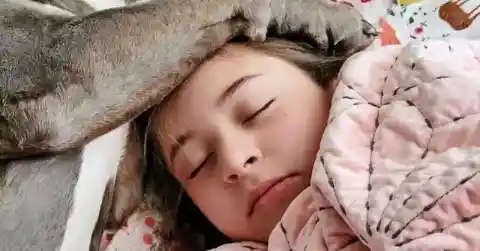 コンピュータに