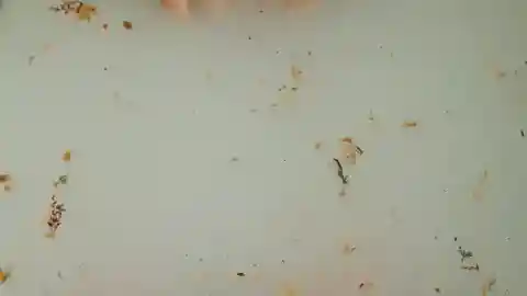 Unexplainable Herbs And Spices