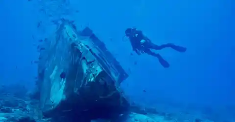 The Salvage Expert