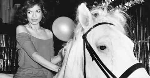A Horse, Of Course