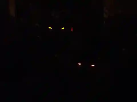 闇の中の眼