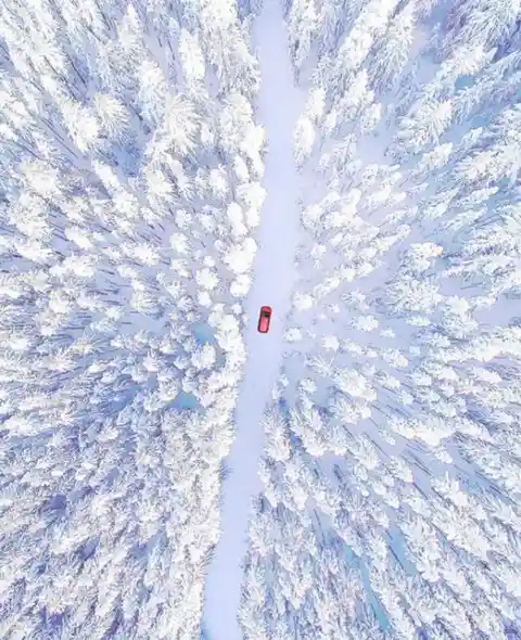 Winter Wonderland