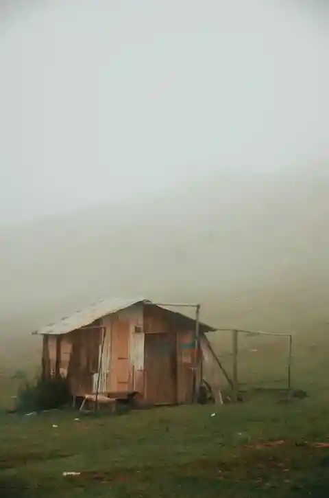 彼女が手に入れられる唯一の場所だった。あなたは物置小屋に住めますか?