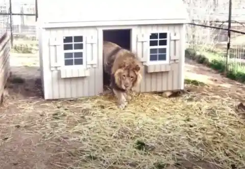 One of the City’s Attractions