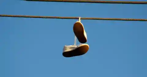 Deep Historical Roots