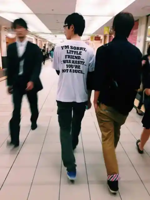 넌 오리가 아니야