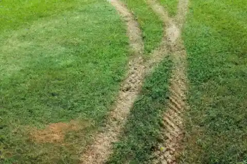 Teaching Him A Lesson