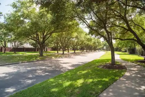 BUSY URBAN TO QUIET SUBURBAN