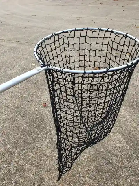 生き物を捕獲する