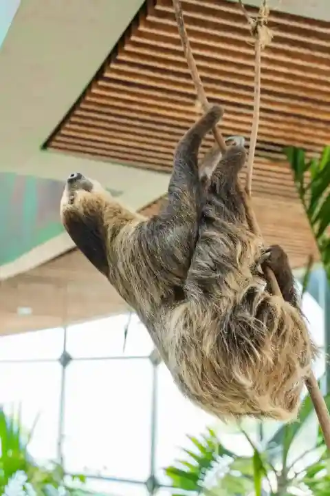 앞을 바라보며