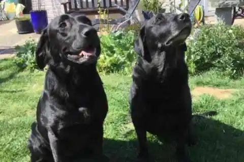 또 다른 놀라움이 있었다