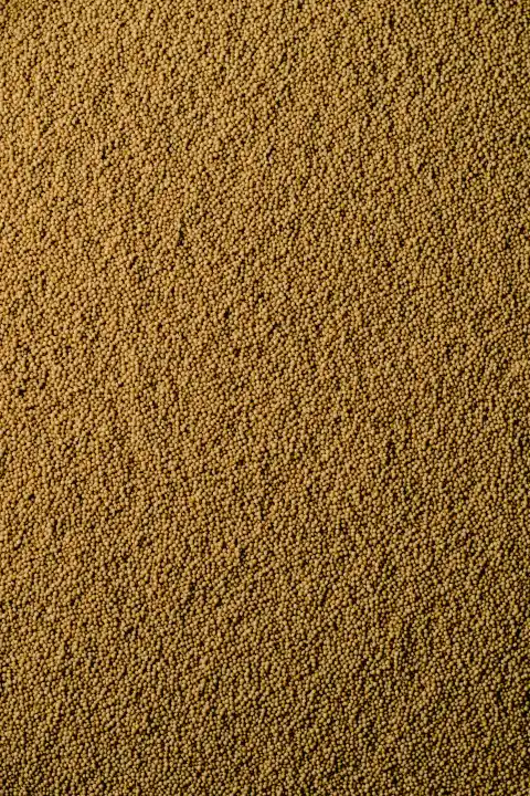 Amaranth