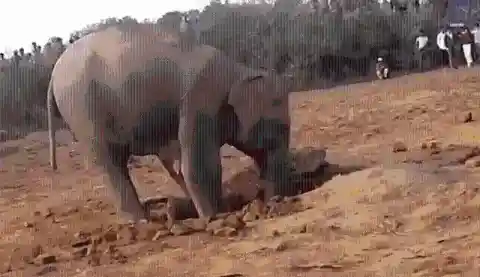 すべてが変わる