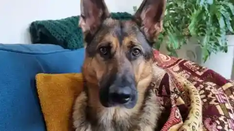 Getting A Lot Of Attention