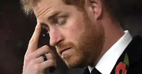 “Terrible Fights”