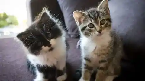 良いルーティン