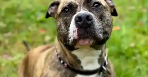 彼への温かい気持ち