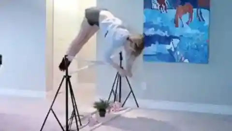 23. 馬の動きにインスパイアされた動きの未来