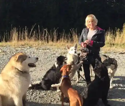 Annette and Her Three Dogs: A Story of Their Unbelievable Disappearance