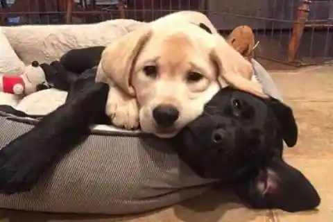 ローラはすべての子を愛した