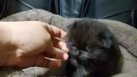 It Wasn’t a Small Pile of Dirt!