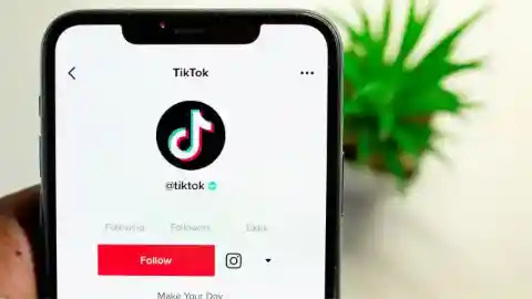 TikTok Sensation