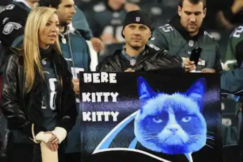 The Carolina Kittys