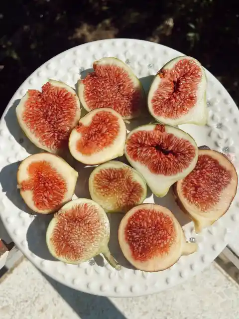 Figs