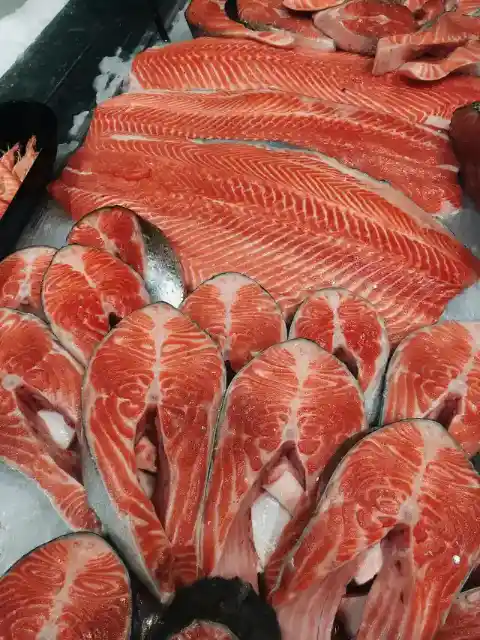 지방이 많은 생선