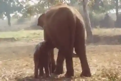 感情の混ざり合い