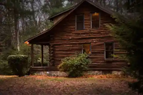 A Cabin Too Well-Kept