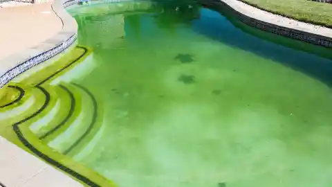 Neglected Pool