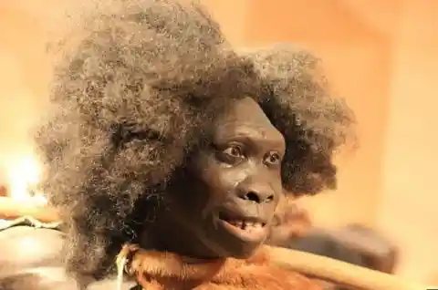 Belonging To Two Species